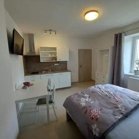 Penzion U Strejcku Veseli nad Luznici Exterior photo